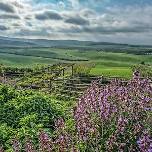  Bed & Breakfast Le Tassinaie